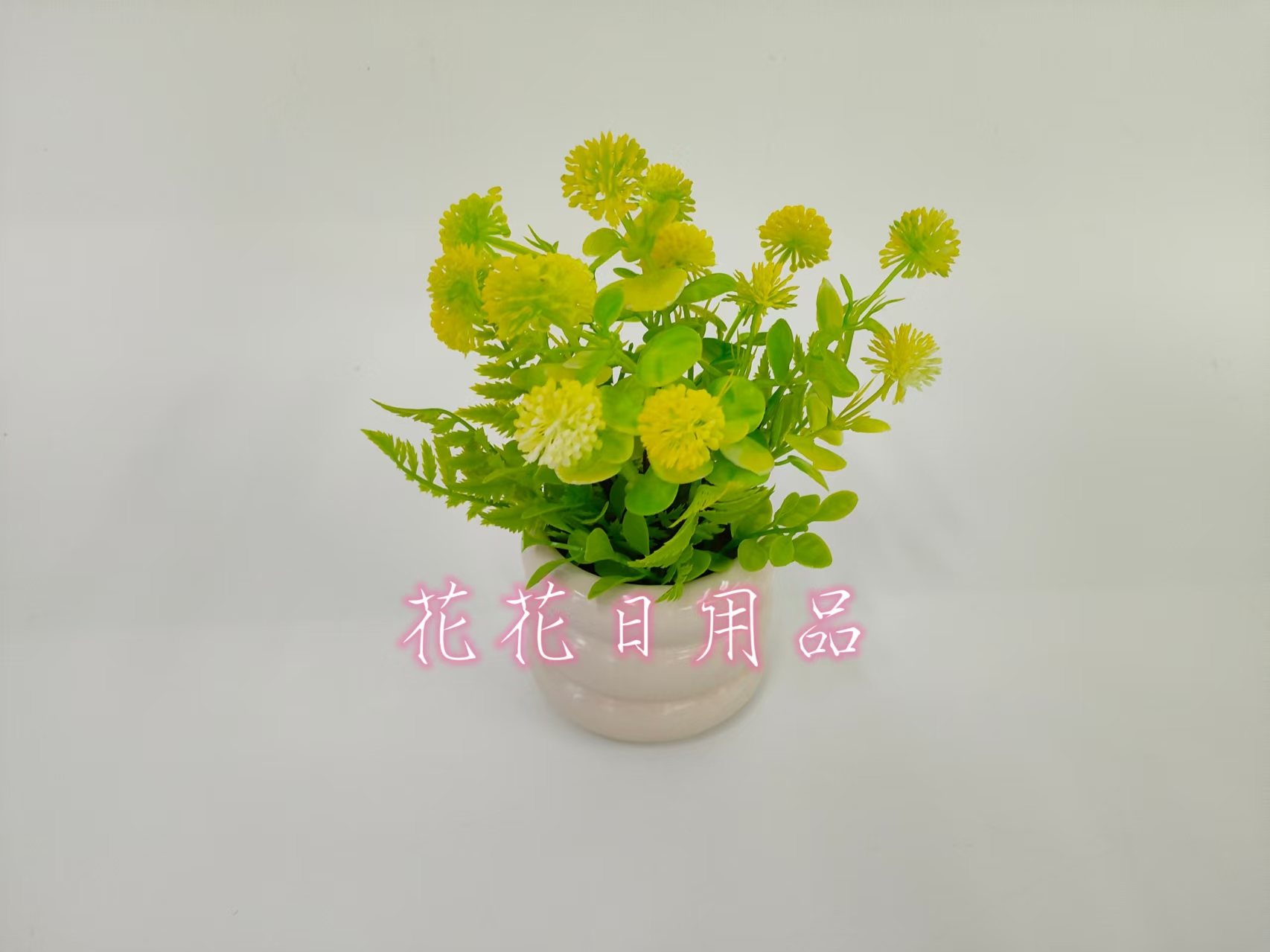 盆栽实物图