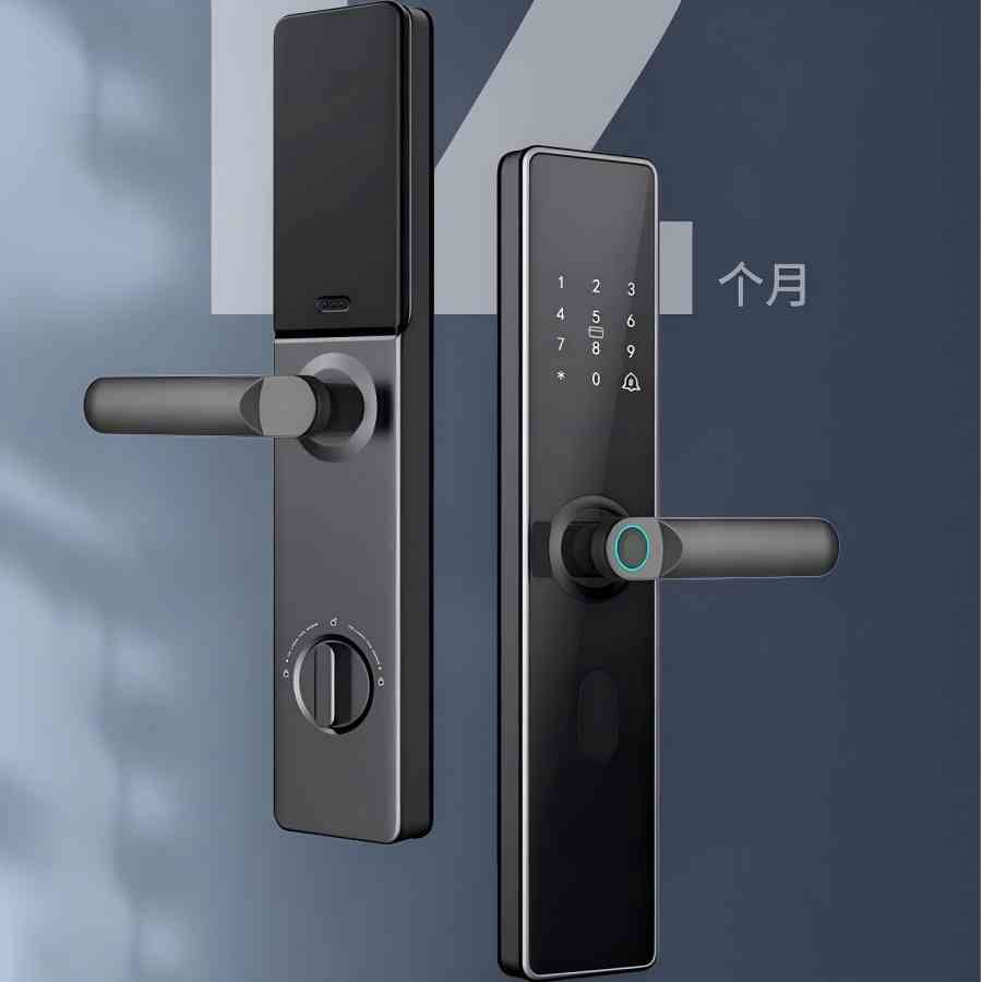 Tuya WiFi remote smart lock, fingerprint lock, anti-theft door, wooden door, Open with one grip, card swiping household indoor lock Item Picture