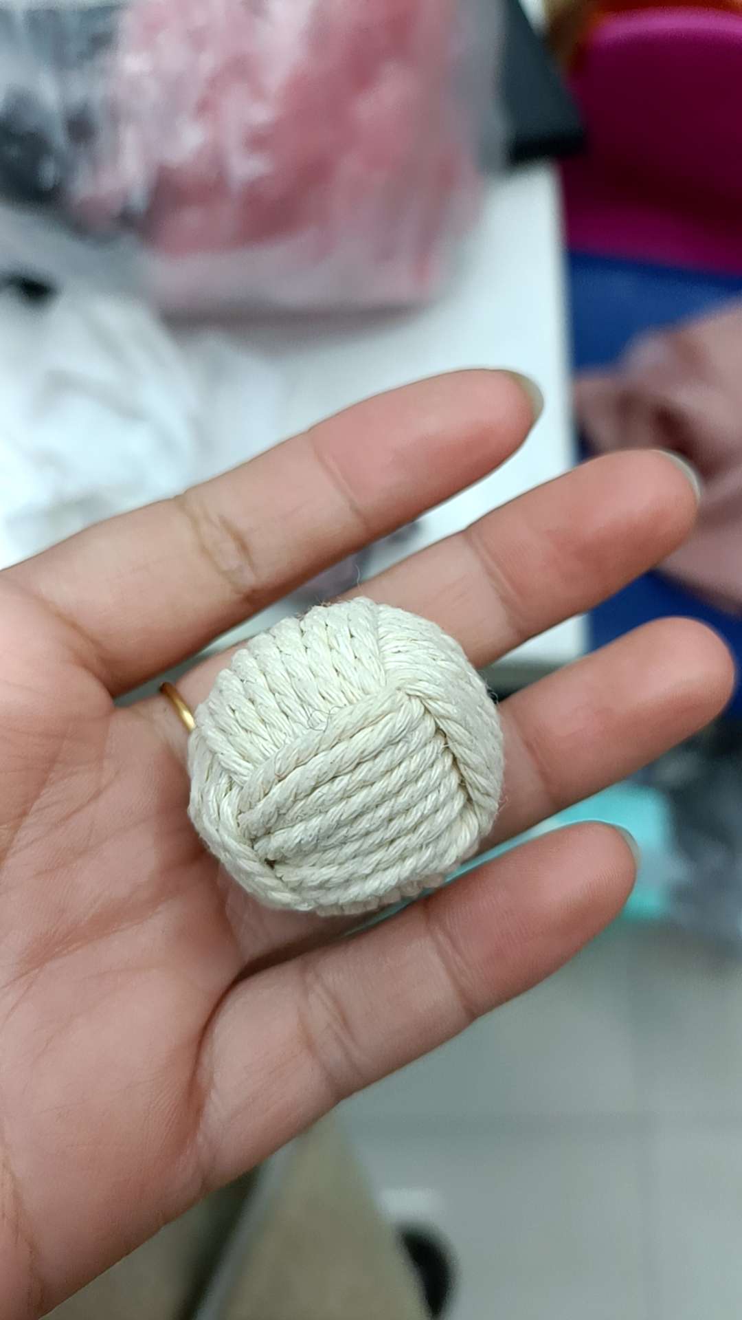 宠物逗猫球挡门球产品图