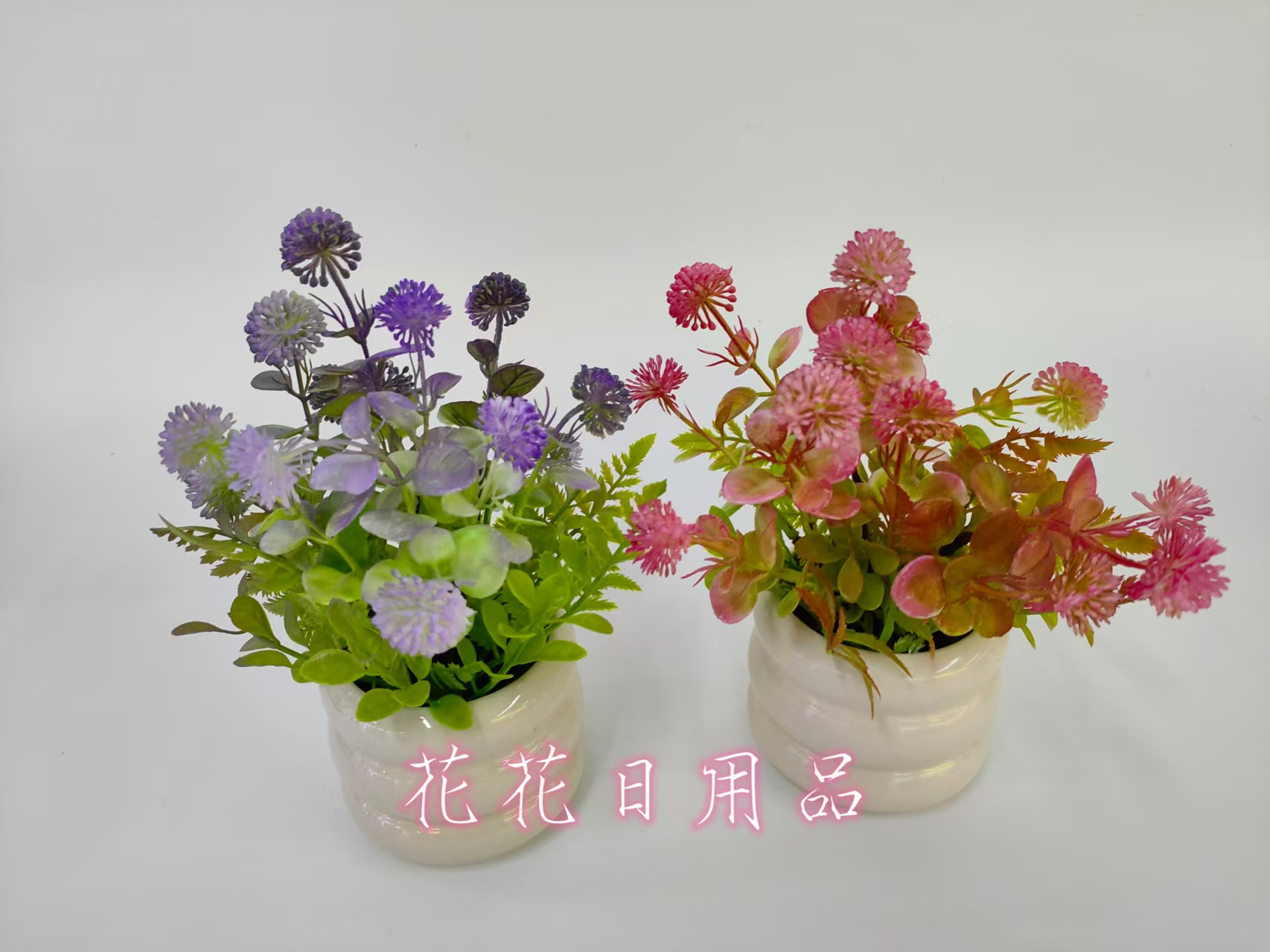 种植小盆栽/种子/盆栽/手工针织花/种植细节图