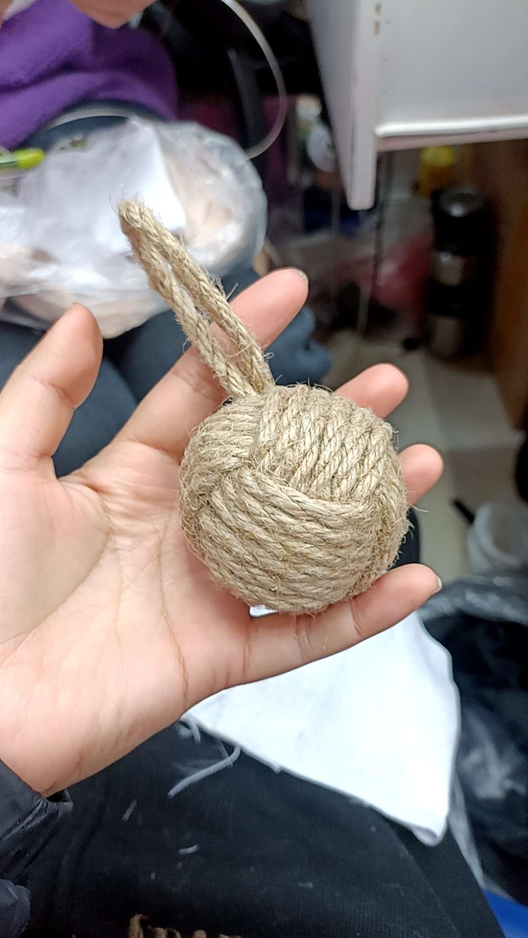 宠物逗猫球挡门球