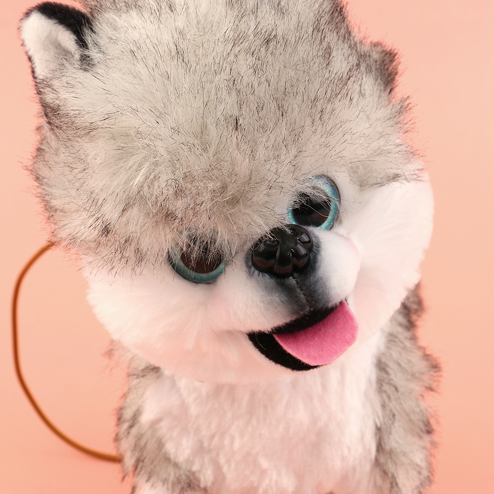 Electric toy simulation husky sticking out its tongue, creative toy that can bark, walk and shake its head, plush simulation dog in stock, factory direct sales Application Scenario