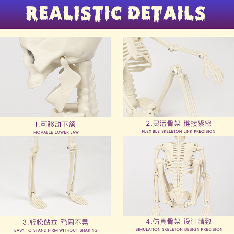 万圣节骨架人道具40cm骷髅模型关节骨架吊挂站立活动关节下巴可开合详情7