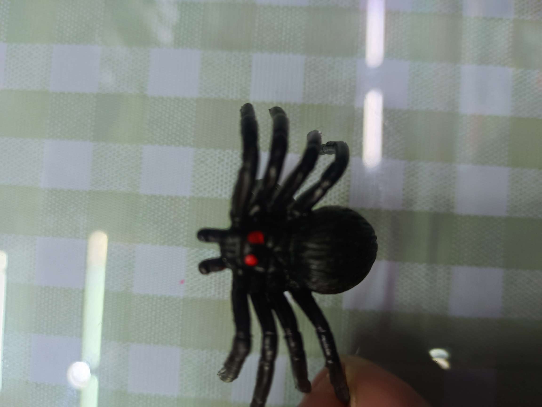 供应万圣节玩具，鬼节玩具，戒指蜘蛛详情图2