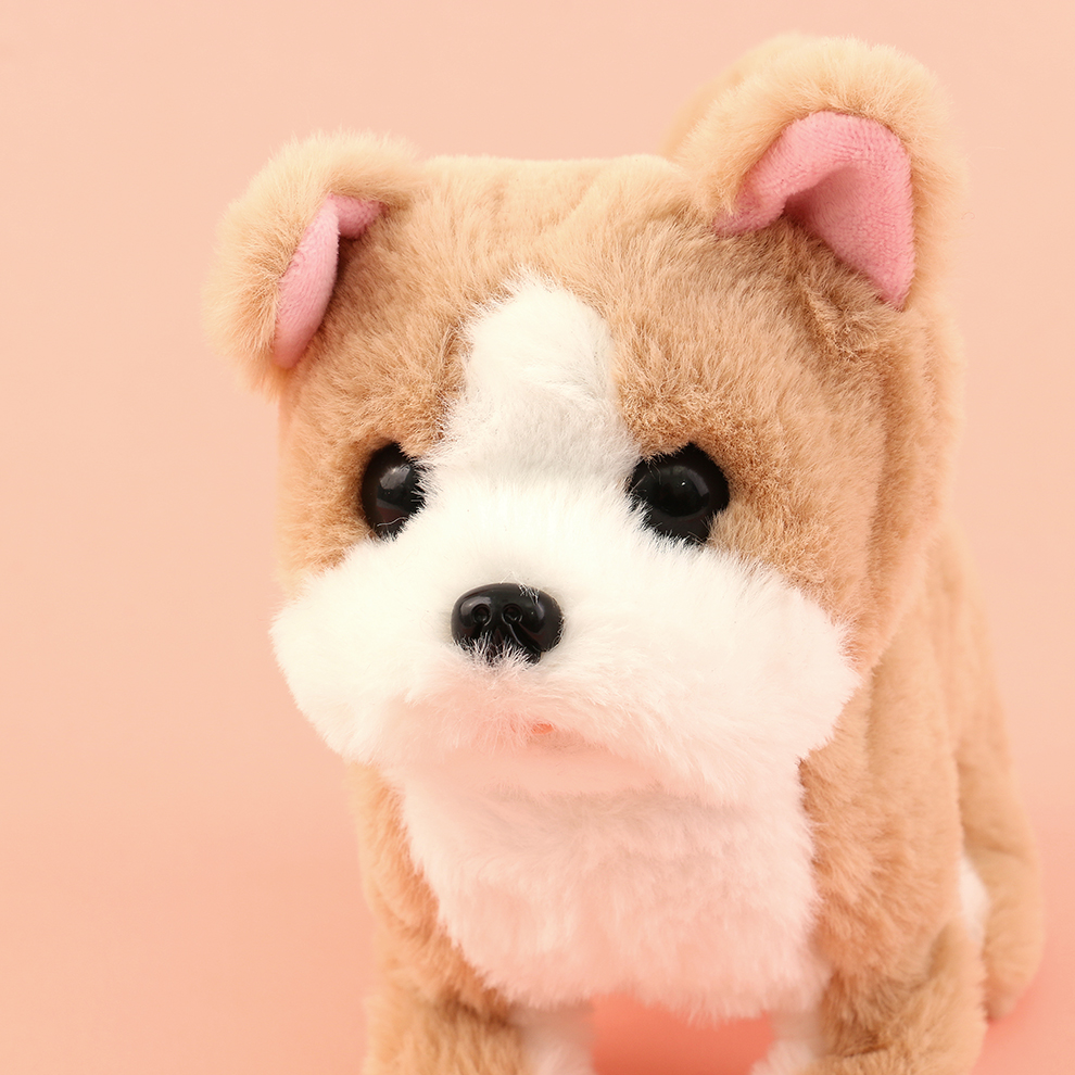 Children's electric mouth-racing dog toys that can talk and bark, simulated puppy electronic pet plush toys, direct sales from the manufacturer for children and boys Application Scenario