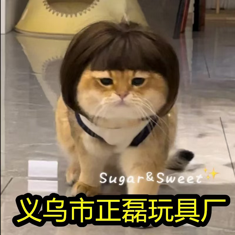 宠物假发。小狗狗小猫咪都可以戴。自产自销