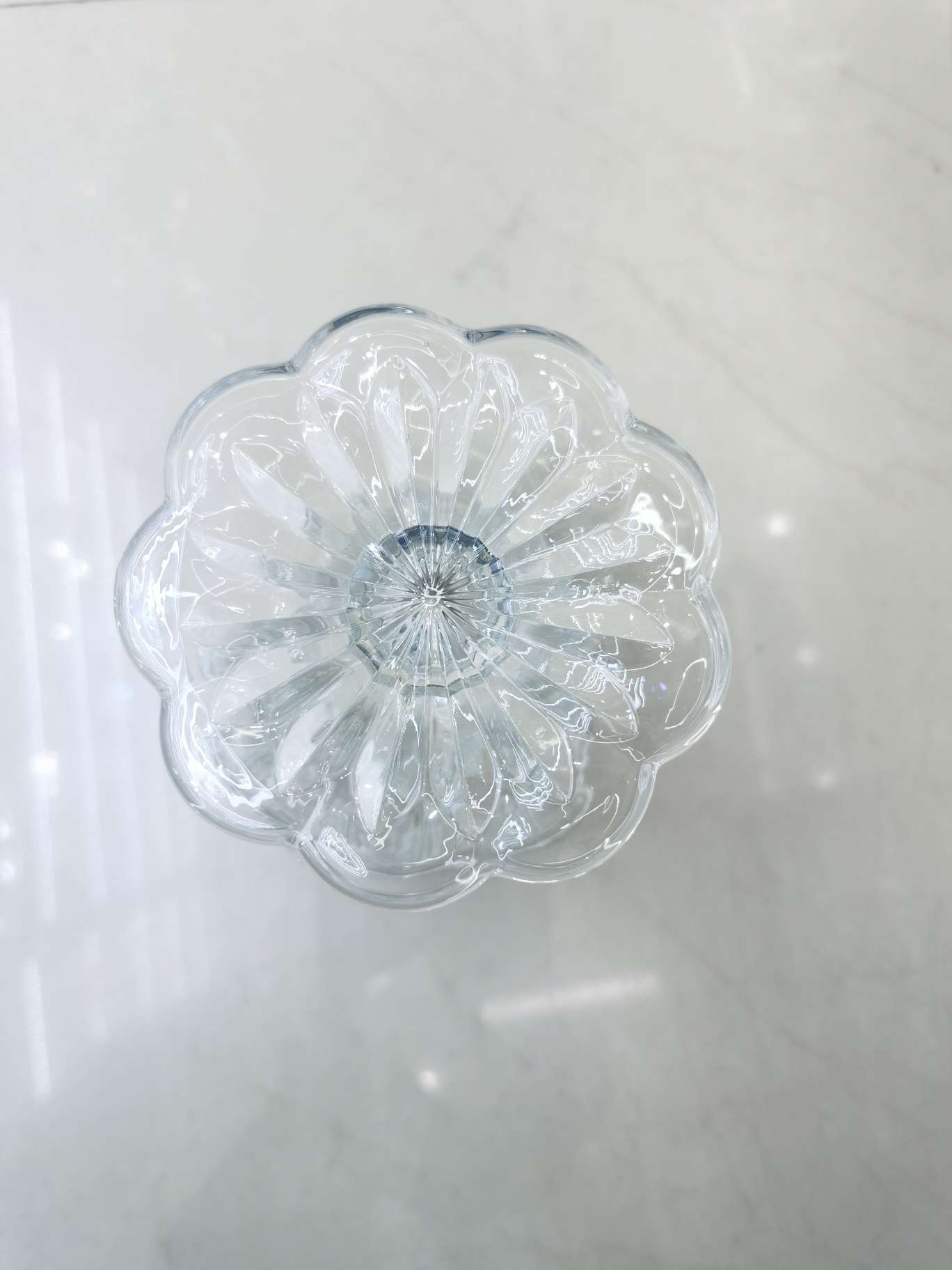 水培植物瓶、生态瓶实物图