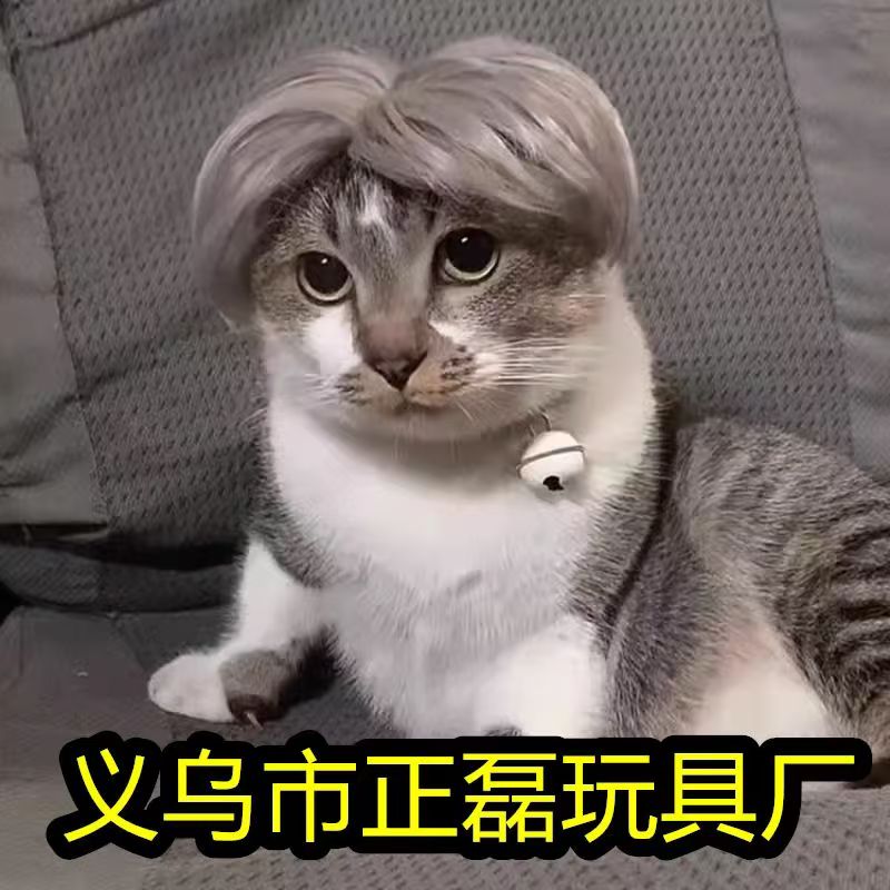 宠物假发。小狗狗小猫咪都可以戴。