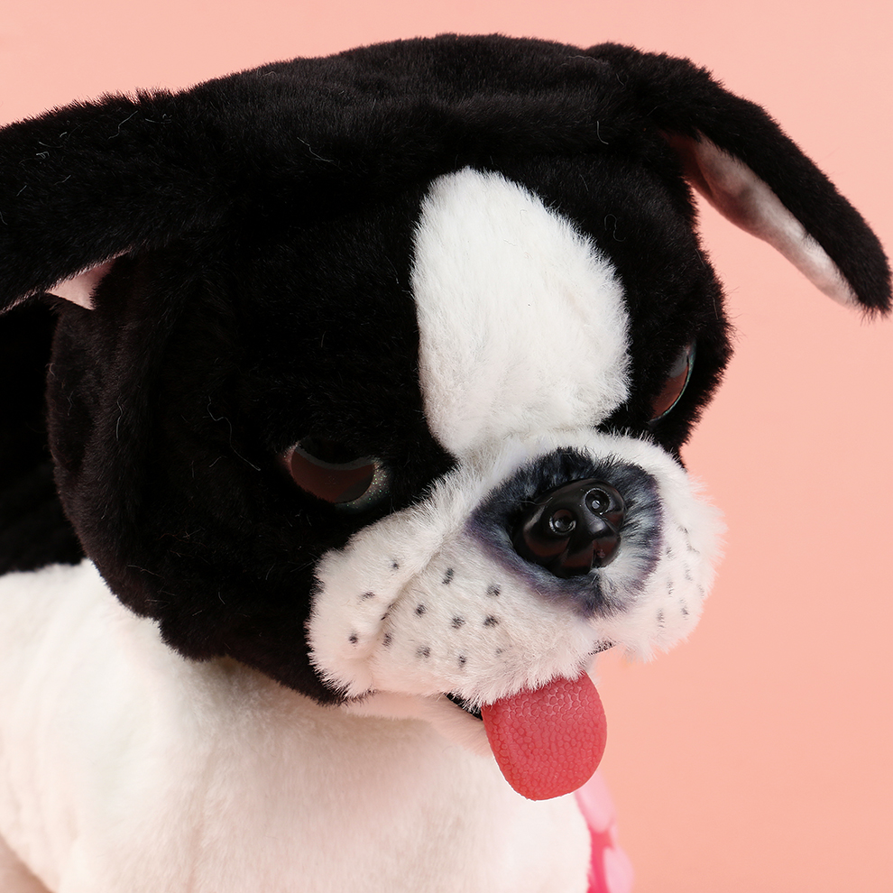 Cross-border foreign trade children's toys, electric simulation dog toys, can talk and bark, simulation dog can record, plush toy children, factory direct sales and wholesale Application Scenario