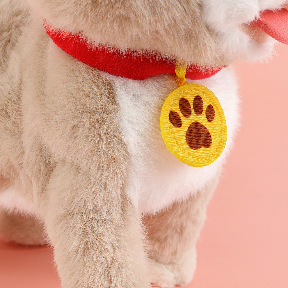 2025 New cute plush leash tongue-sticking electric puppy children's simulation toy, which can walk, move, bark and record boys and girls Application Scenario