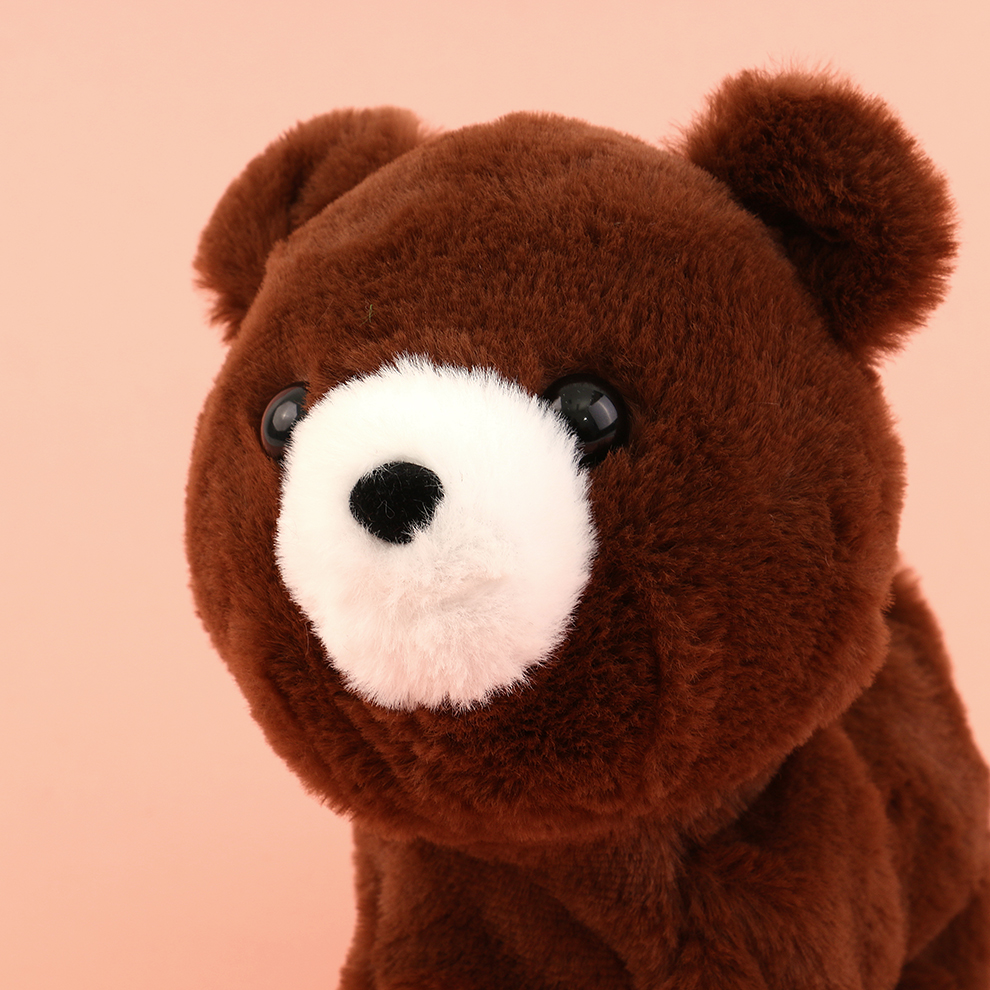 2025 Children's electric Bear Toys that can Talk and Call, simulated bear electronic pet plush toys, direct sales from the manufacturer for children's boys Application Scenario