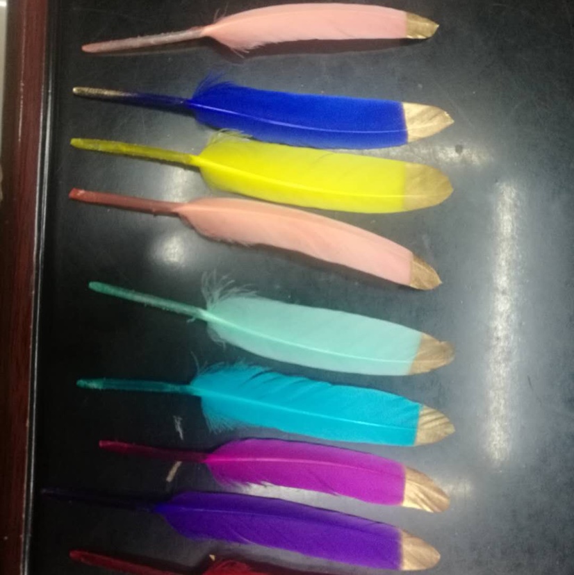 羽毛大票布边鹅毛羽毛花边布带 羽毛舞蹈服