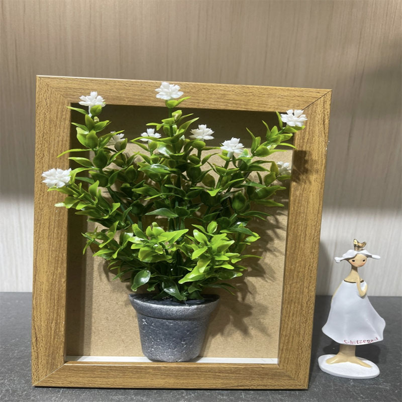 种植小盆栽/种子/盆栽/手工针织花/种植细节图