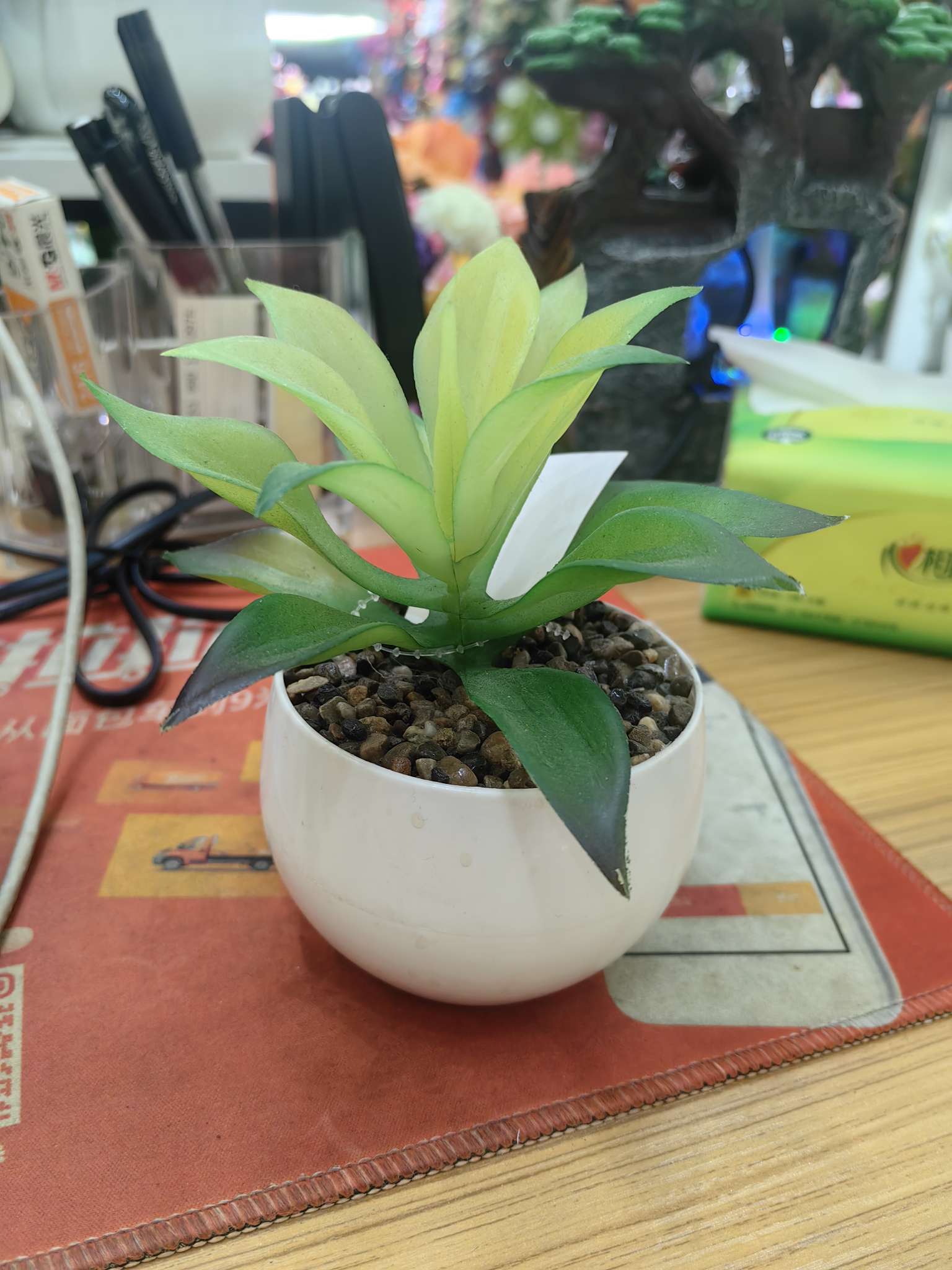  手工针织花盆栽 盆景种子包 自家种植小盆栽 DIY绿色生活