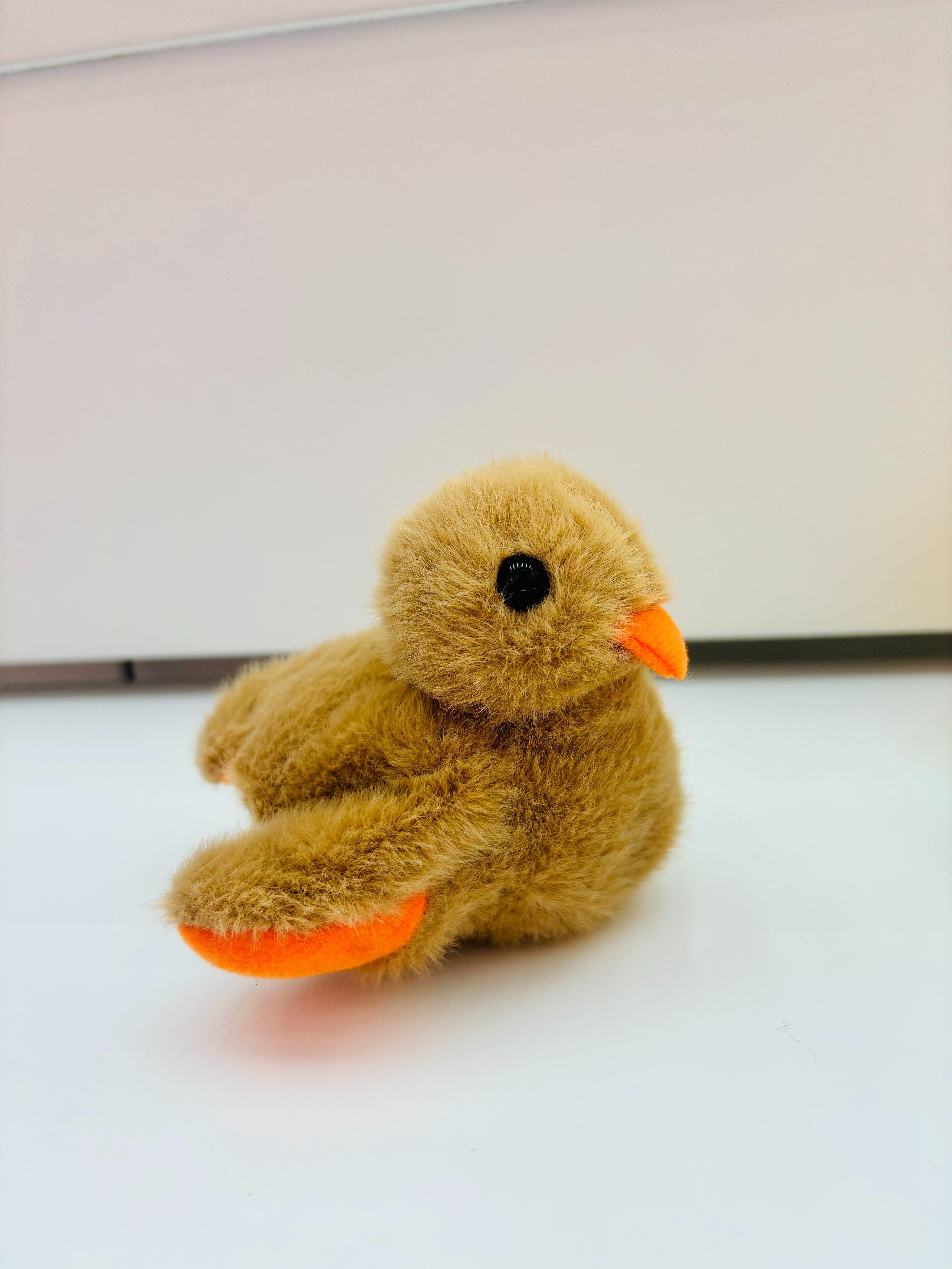 Interactive companionship. Extremely cute and fun. Little duck. Electric details Picture