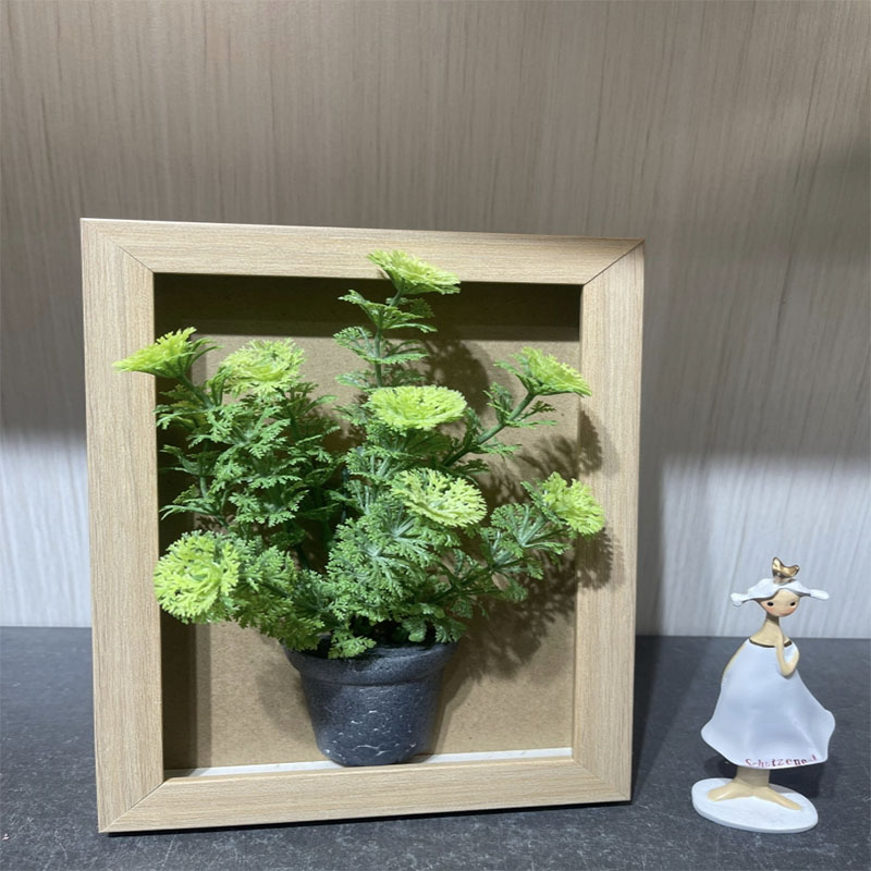 种植小盆栽/种子/盆栽/手工针织花/种植细节图