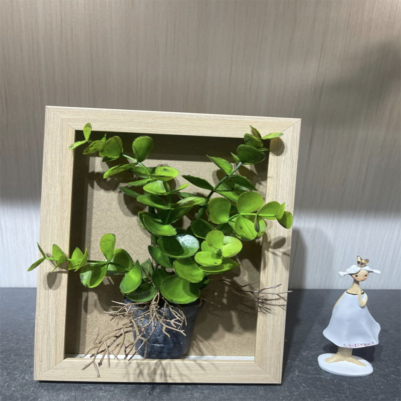 种植小盆栽/种子/盆栽/手工针织花/种植产品图