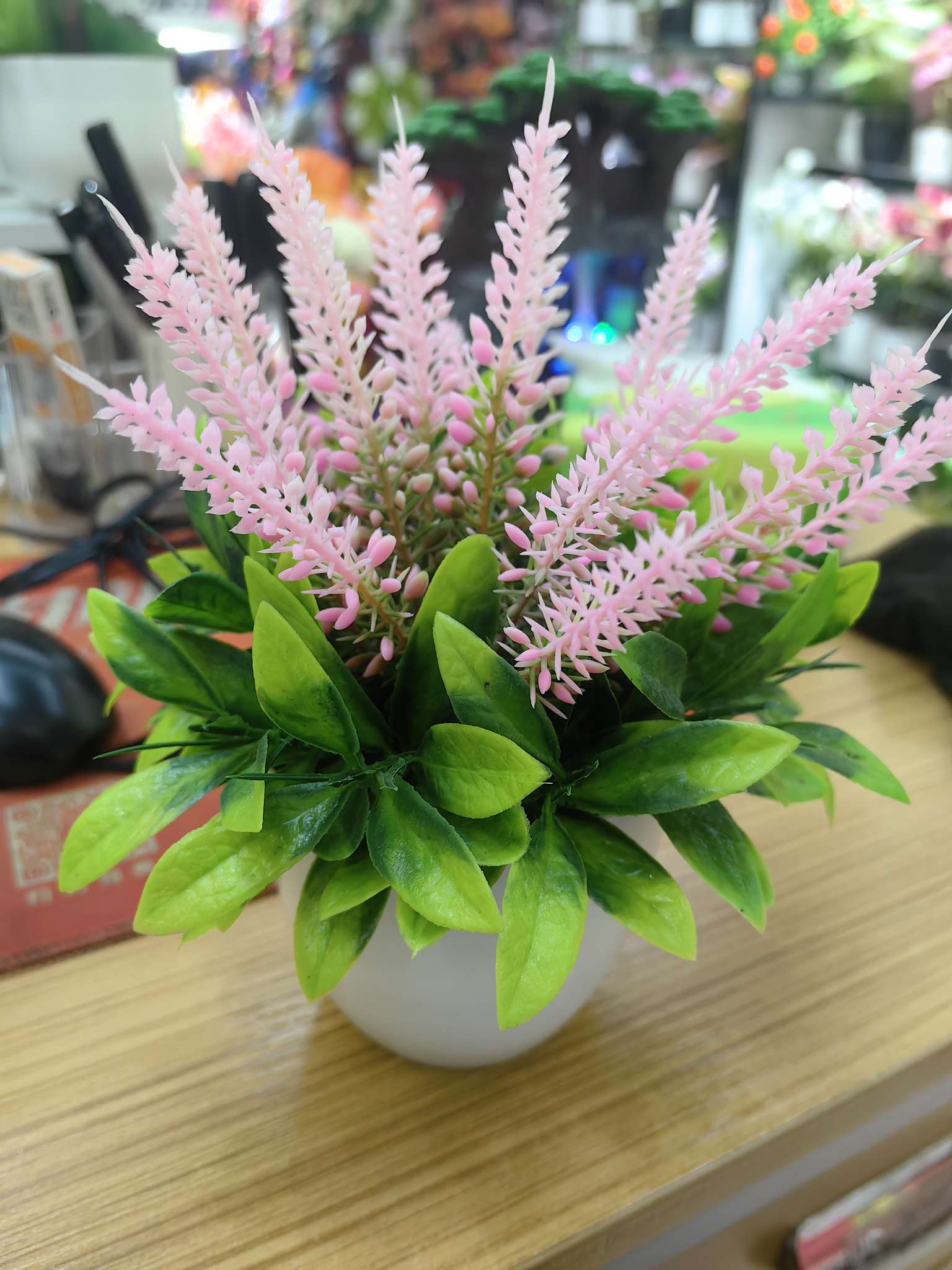宠物园艺专享 手工针织花盆栽种子 自家种植小盆栽 盆景盆栽绿植装饰美化生活