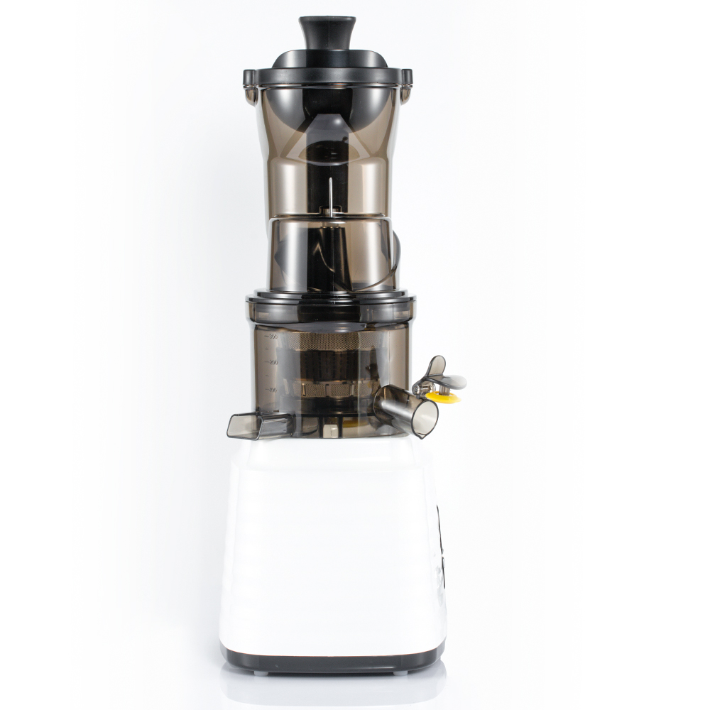 RAF European standard cross-border juicer, multi-functional fresh juicer, automatic juicer, household juicer pic 9