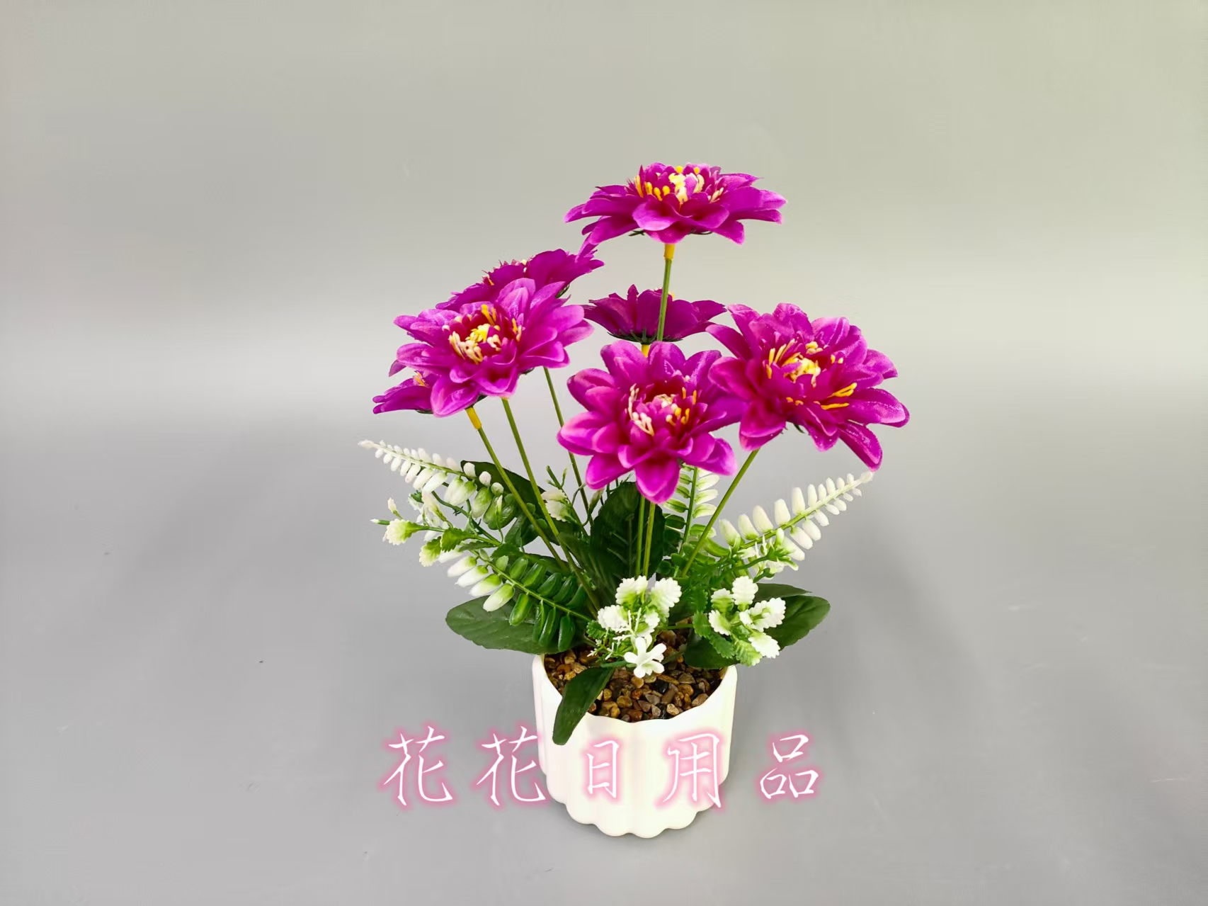 盆栽实物图