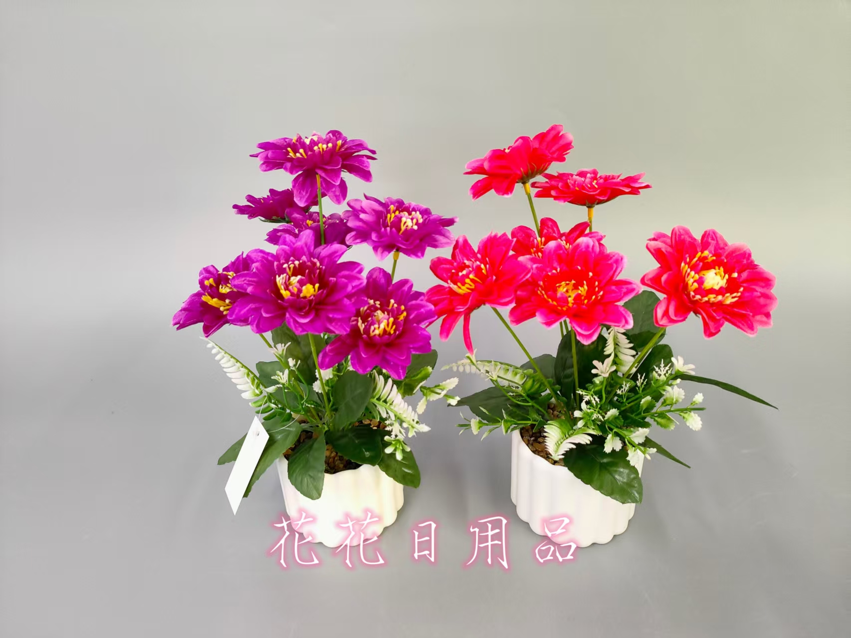 种植小盆栽/种子/盆栽/手工针织花/种植细节图
