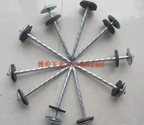 瓦楞钉 光杆瓦楞钉 麻杆瓦楞钉 detail image 2