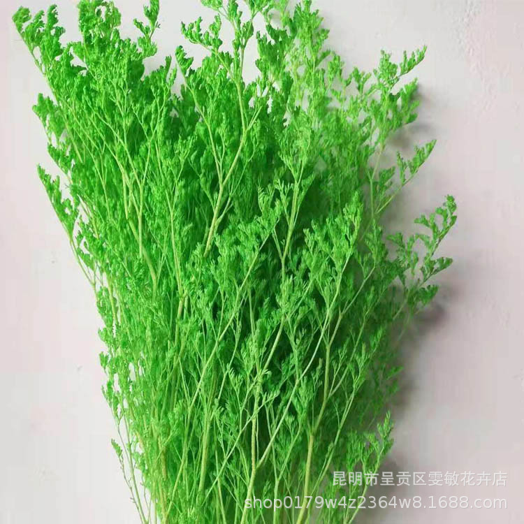 林业园艺副产品 精选干花花束 干花情人草产品图