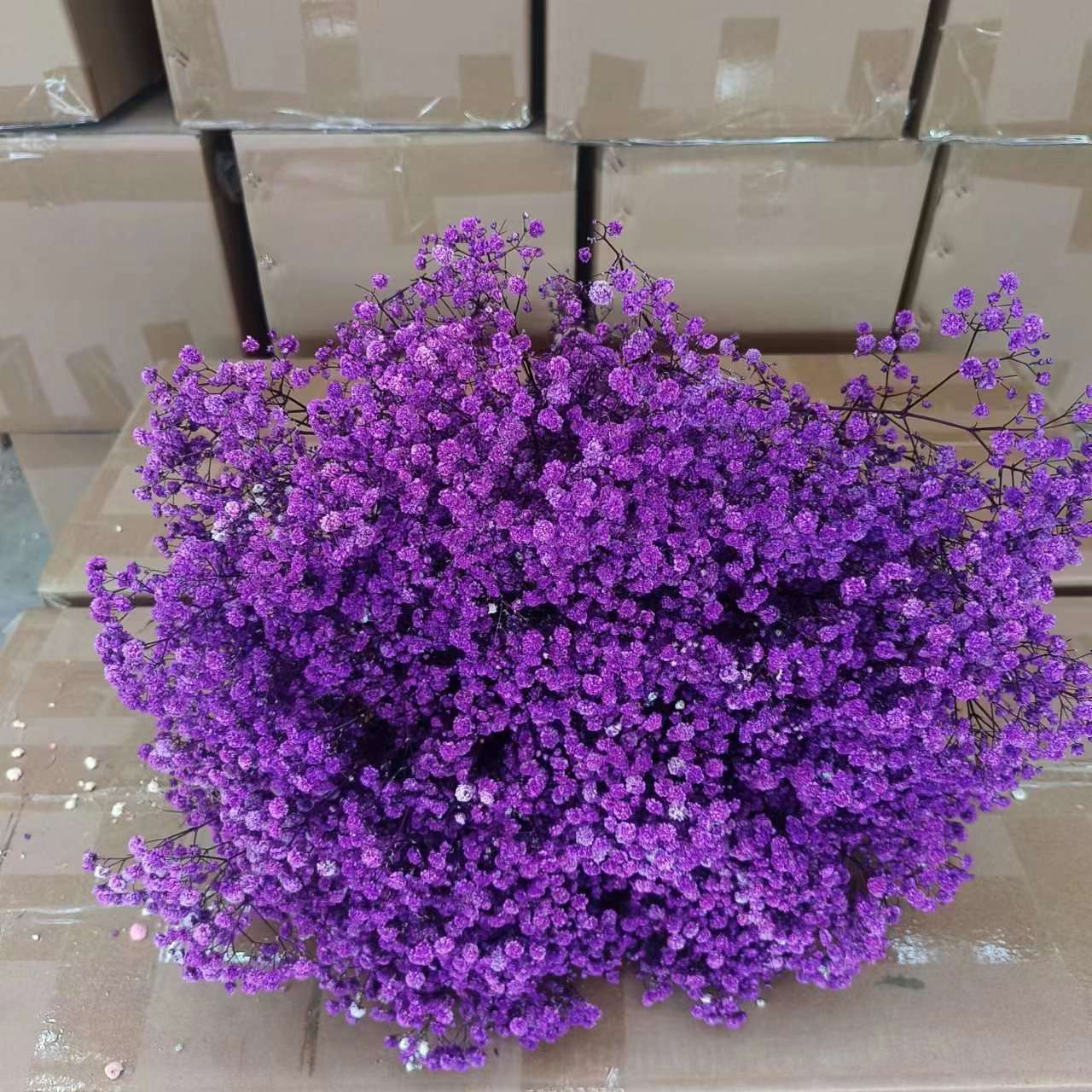 天然永生干花   百搭各色满天星干花干花细节图