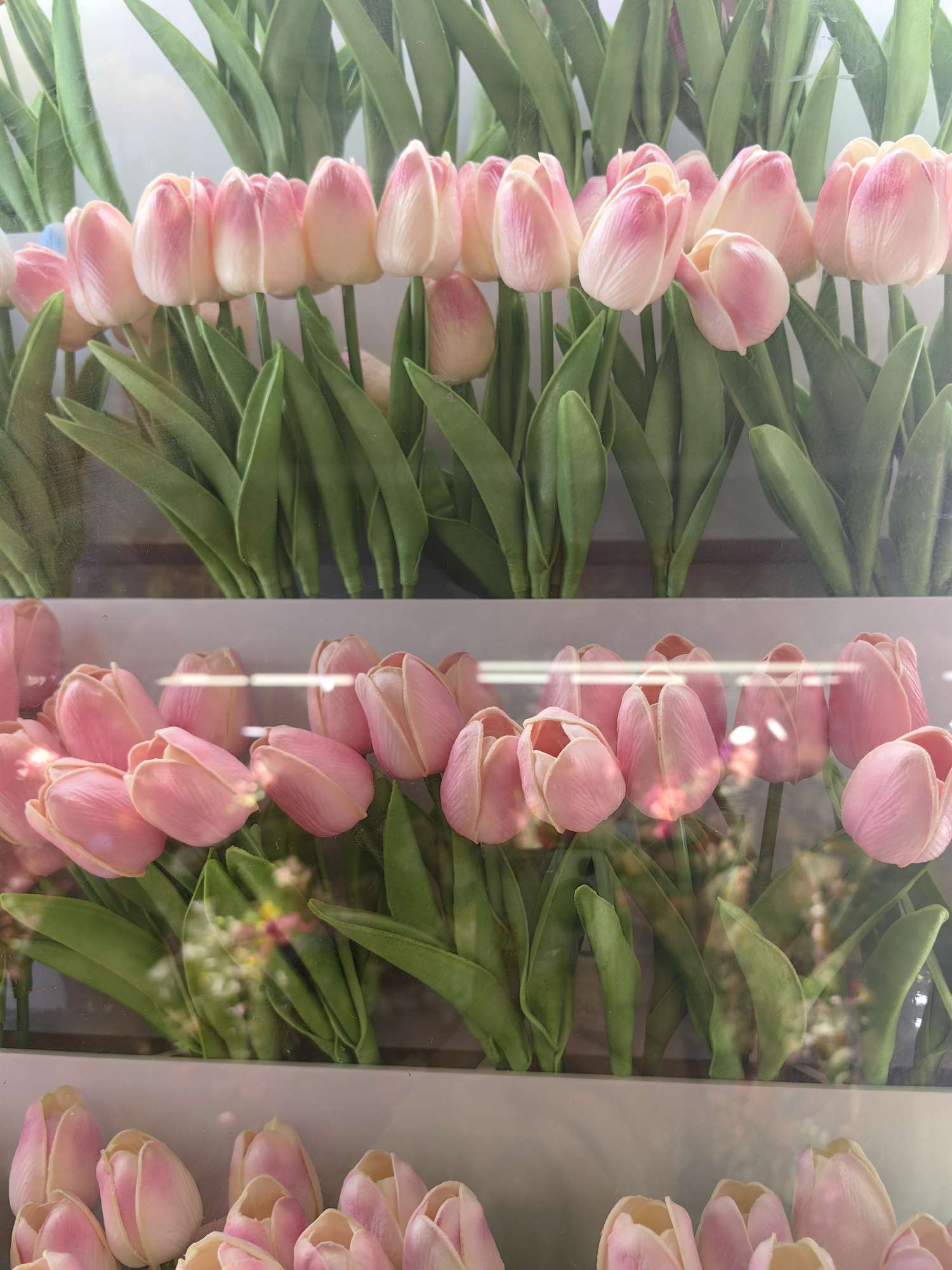 阿文钟塑料工艺品系列 小黄人帆布画 风灯竹圈扇框 精致礼品工艺品 收藏品家居装饰品产品图