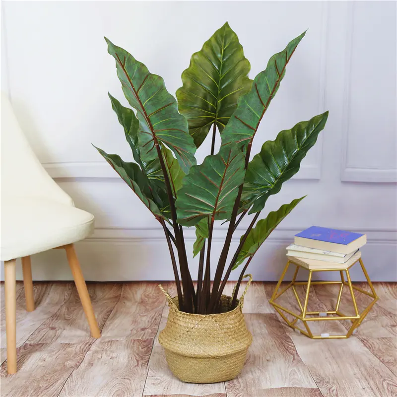 仿真植物实物图