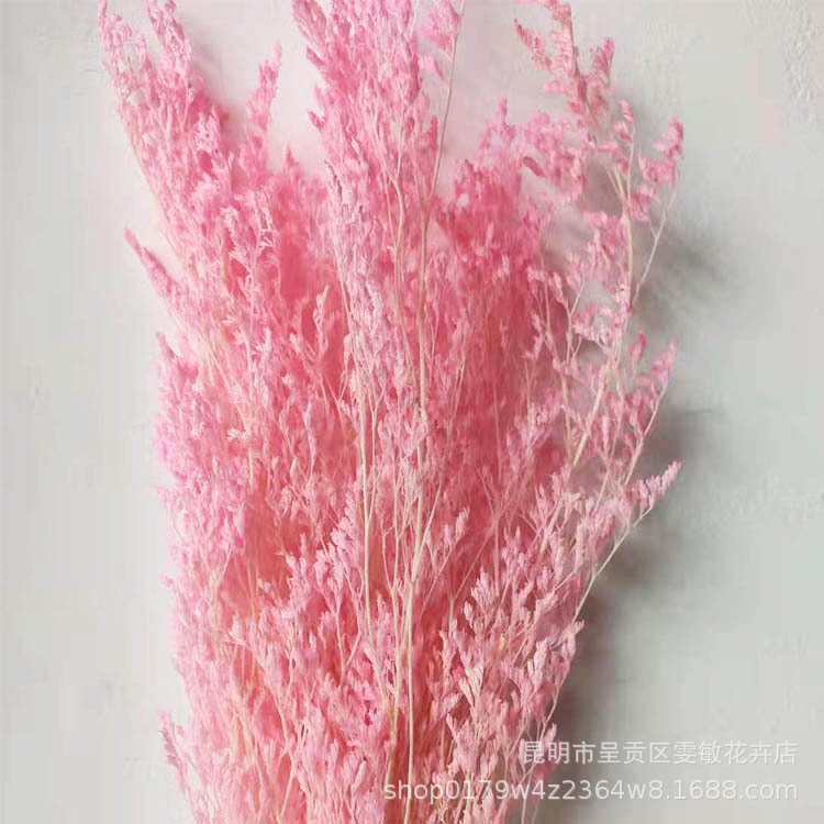 林业园艺副产品 精选干花花束 干花情人草细节图