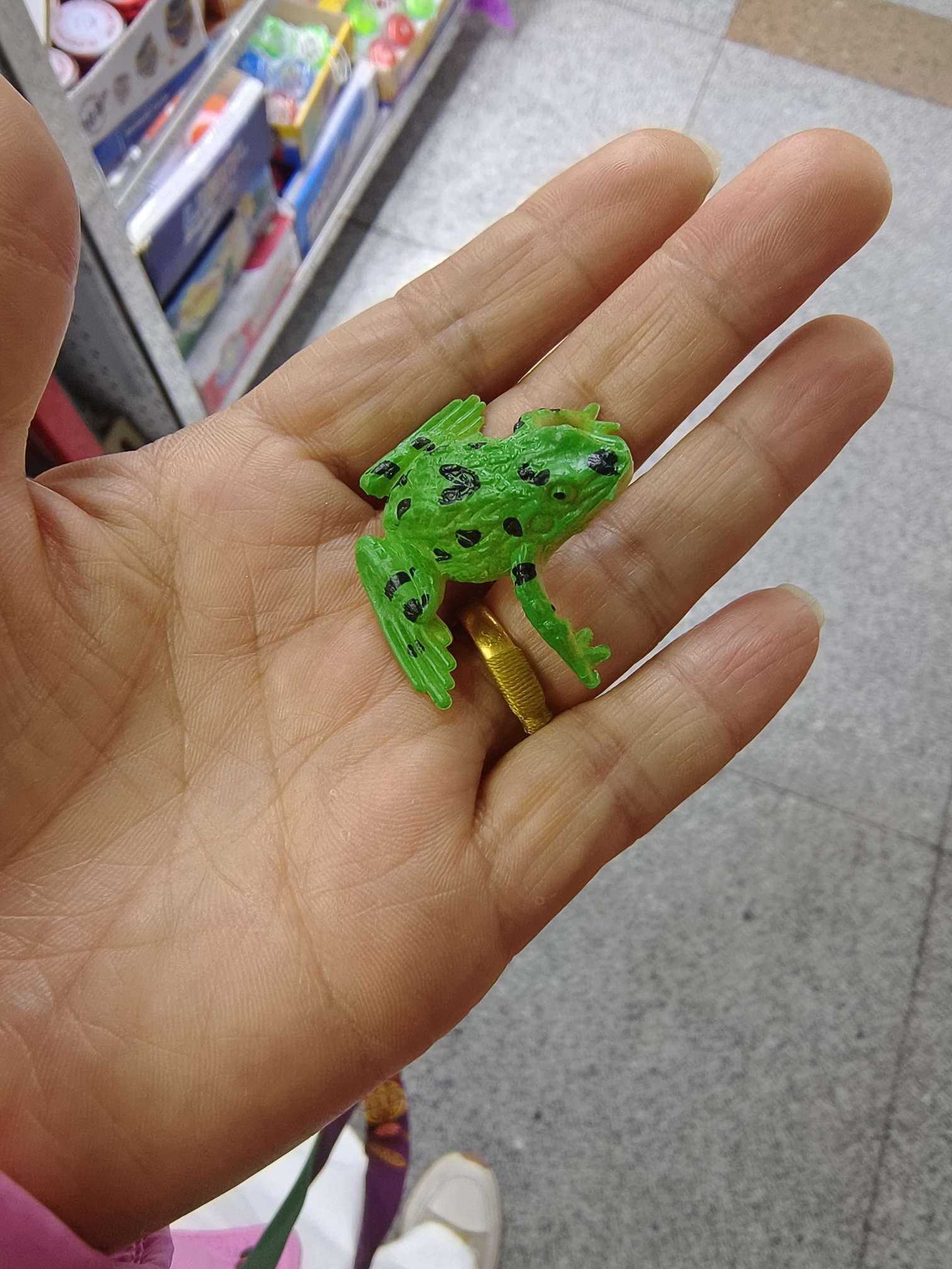 仿真青蛙雨林蛙箭毒蛙青蛙模型玩具科教儿童认知其他配件