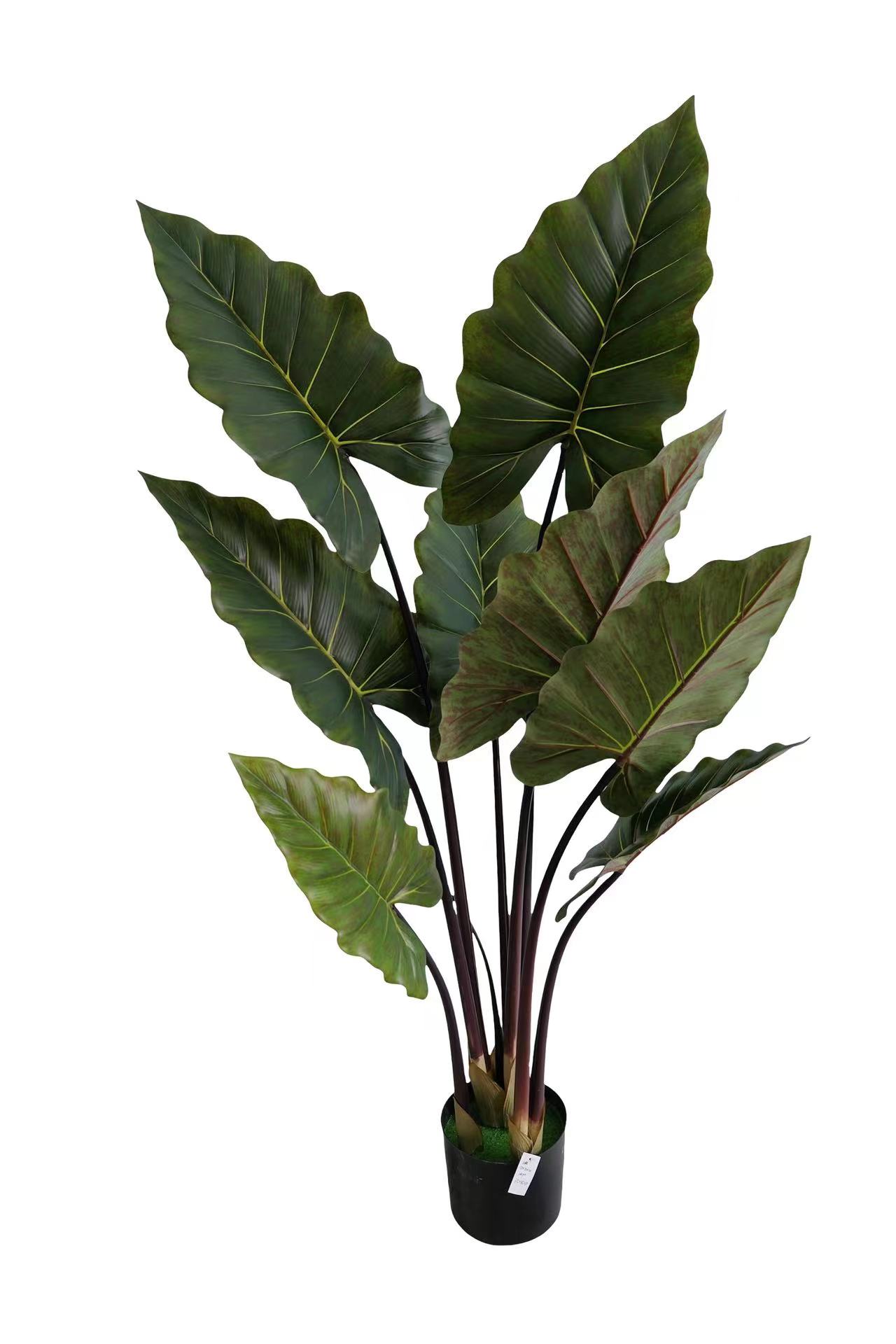 胶管彩虹仿真植物迷你龙血铁树盆栽假多杆丝兰树落地装饰花北欧绿植仿真花仿真绿植绿植摆件仿真花仿真绿植绿植摆件人造植物仿真花