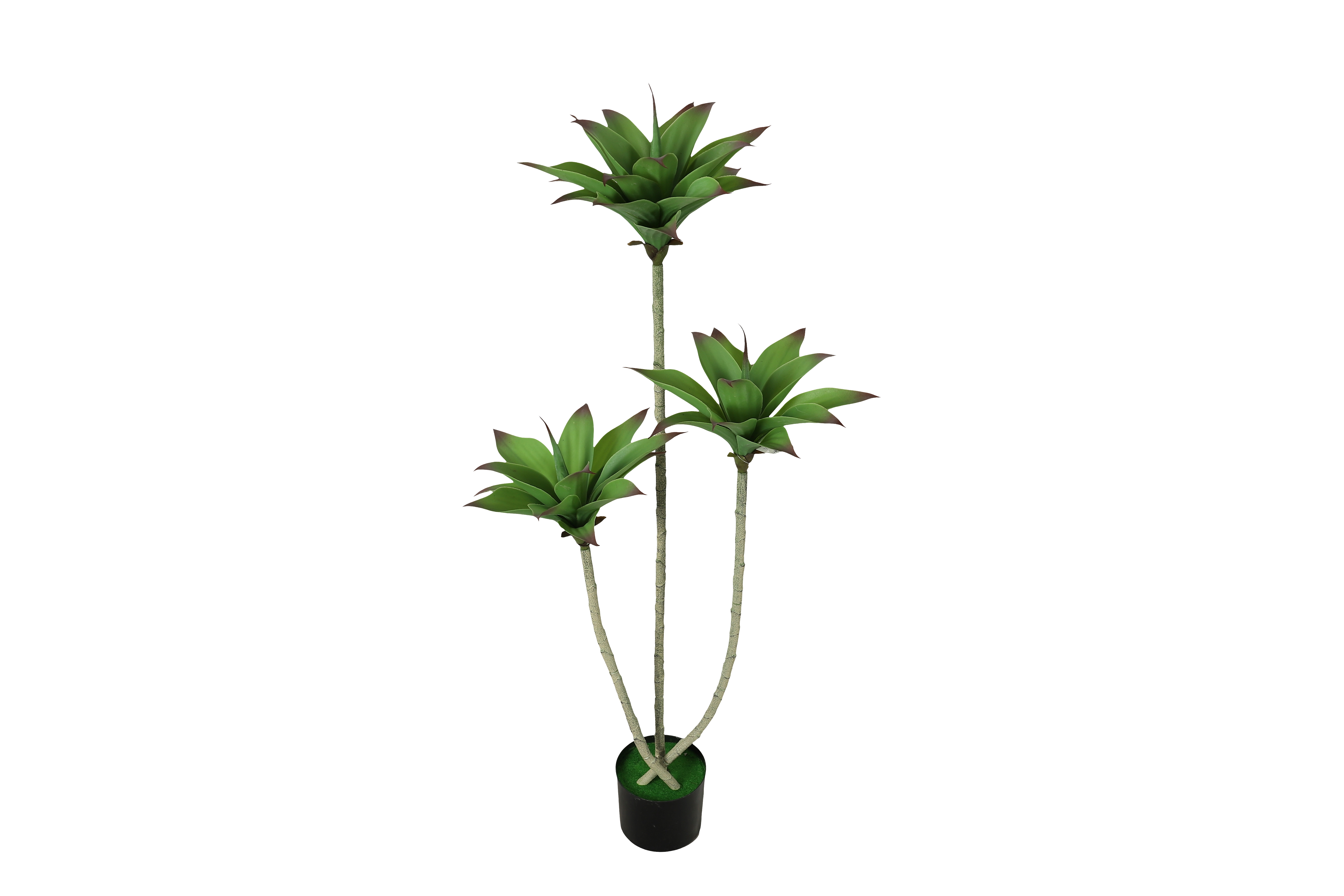 仿真植物实物图