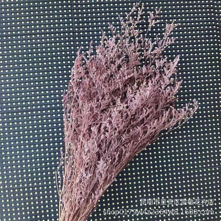 林业园艺副产品 精选干花花束 干花情人草白底实物图