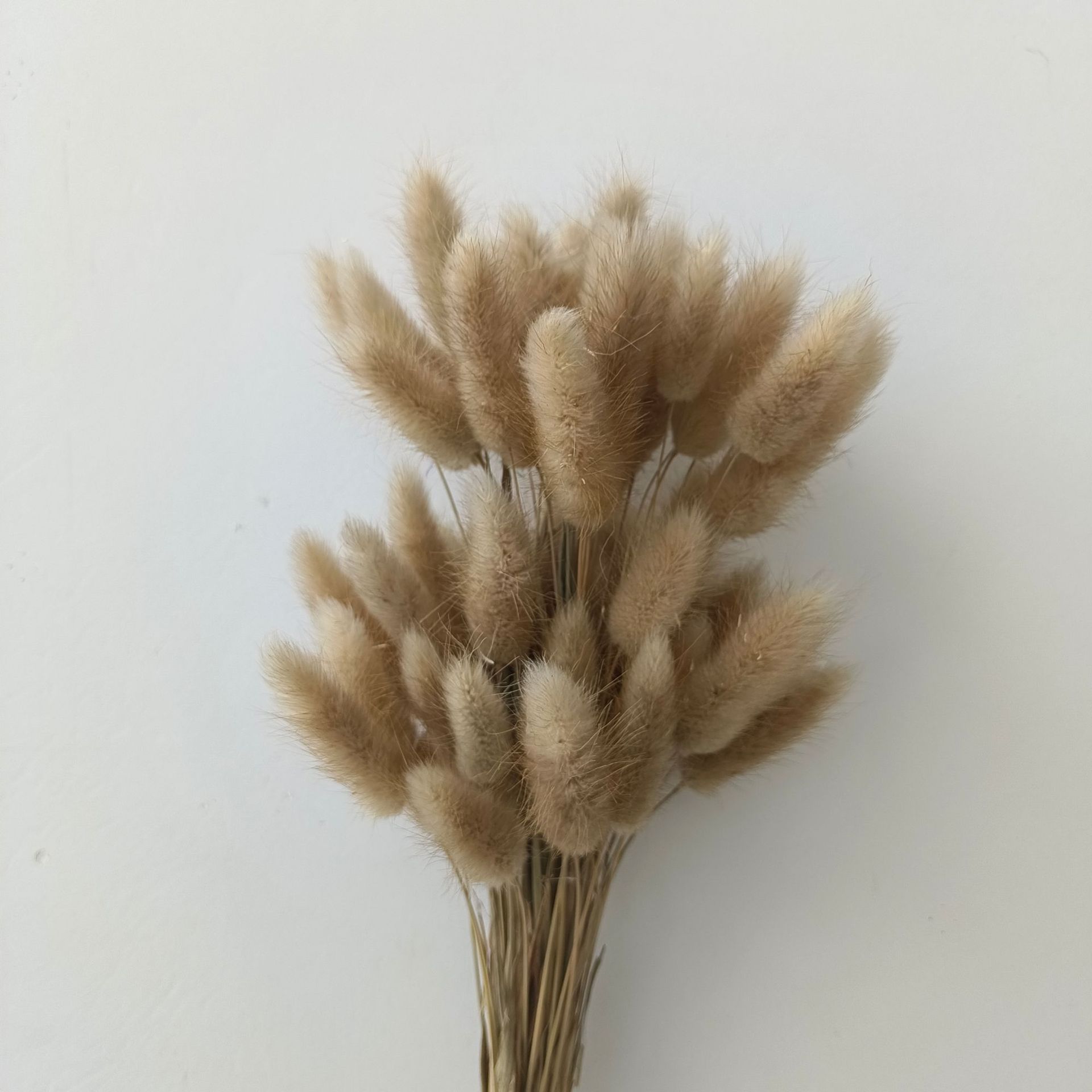 宠物园艺林业副产品 独特水晶试管干花花束 手工制作干花装饰品 美化家居园林景观产品图