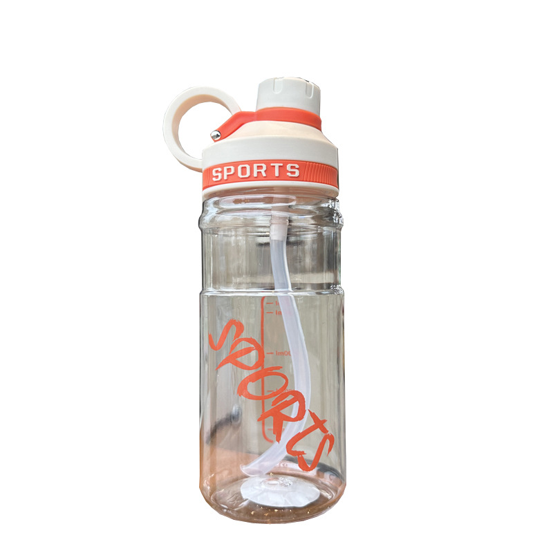 X152-Xbd-6090 Summer Portable And Simple Water Cup, High Appearance Level For Boys And Girls, Double-Drinking Straw Cup, Household Anti-Drop Plastic Cup For Students Application Scenario
