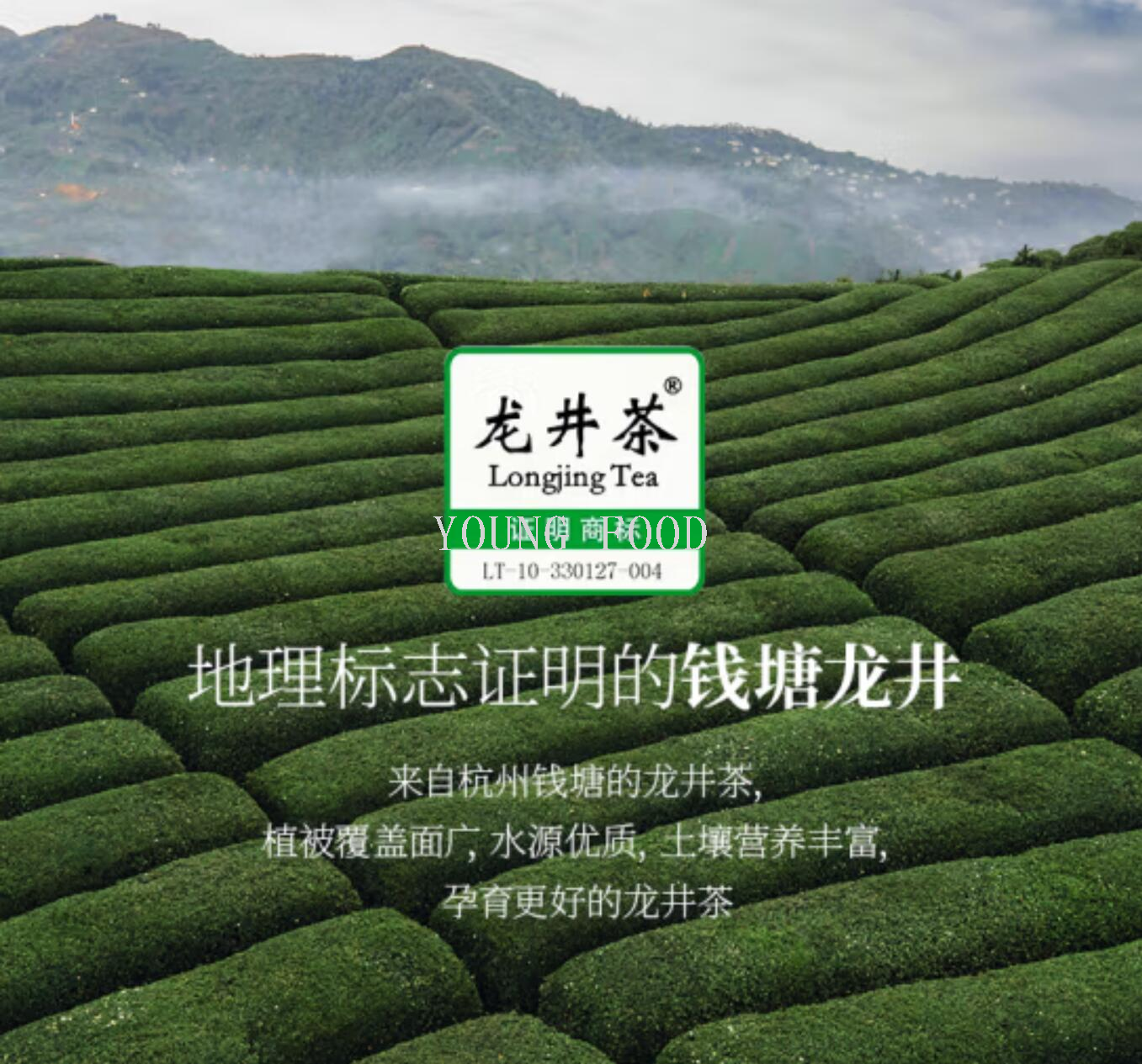 包邮!哈罗每天休闲零食手办饮料 果子熟了栀栀乌龙茶饮品500ml详情4