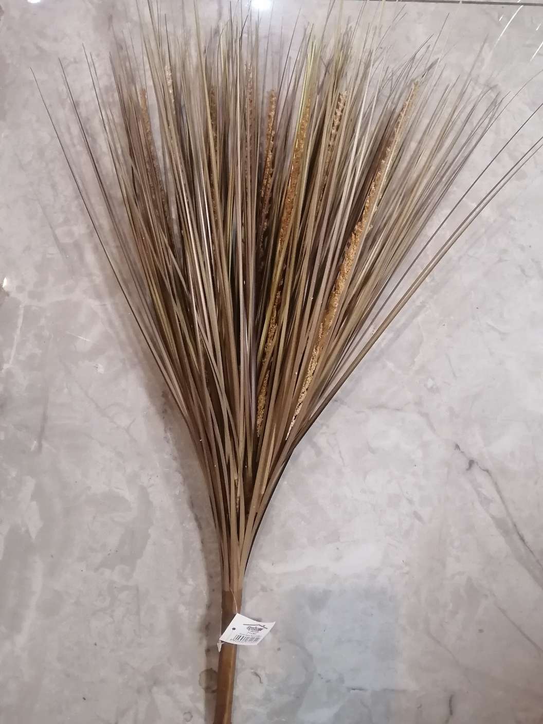 仿真5头芦苇草 干花花束高级感芦苇家居 装饰仿真草狗尾巴草造景 