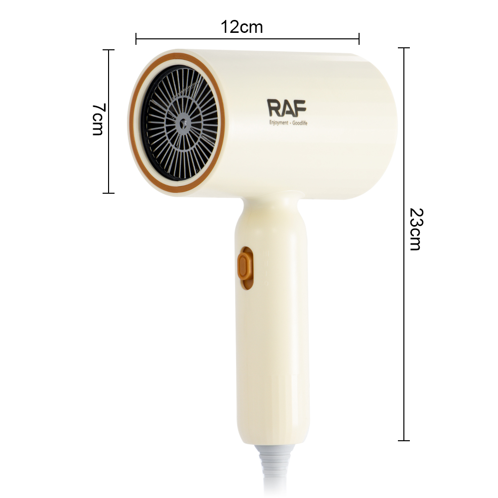 RAF European standard cross-border high-speed hair dryer for home use, non-damaging hair care, hair collection, negative ion hair care, silent Item Picture