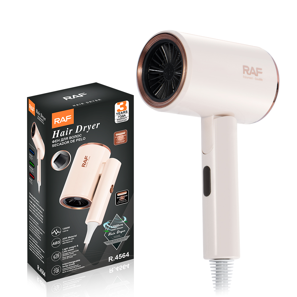 RAF European standard cross-border high-speed hair dryer, home hair-protecting hair dryer, negative ion hair care, silent R.4564 details Picture