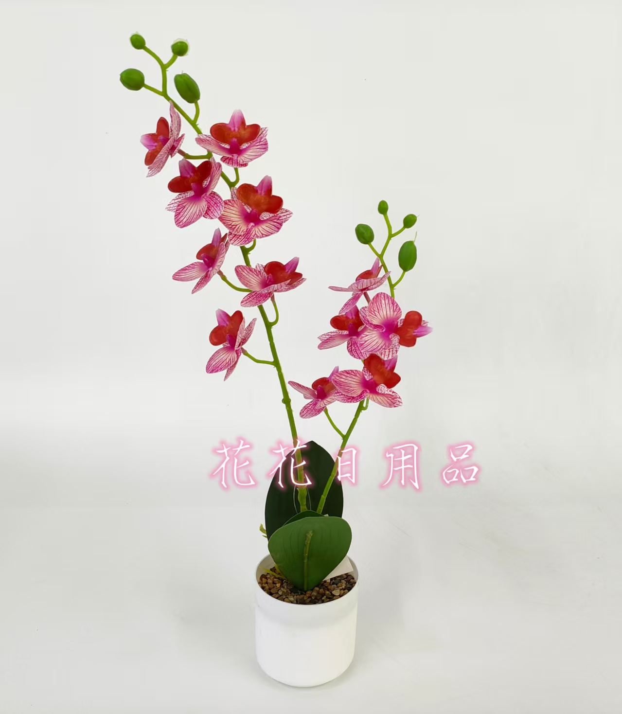 Artificial flower fake flower bonsai plastic basin two forks simulation phalaenopsis decoration details Picture