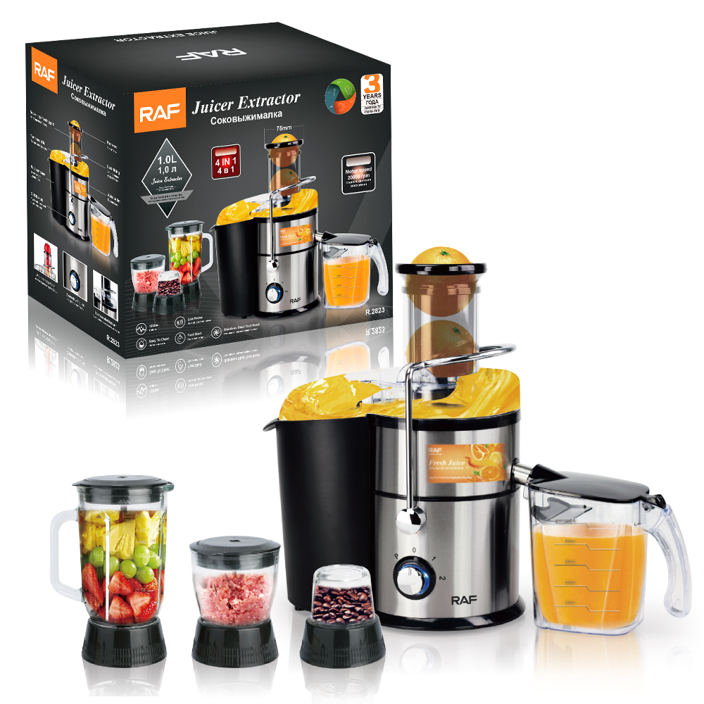RAF European regulation cross-border 4-in-1 juicer Portable juicer Ground meat stirring juice machine grinder details Picture