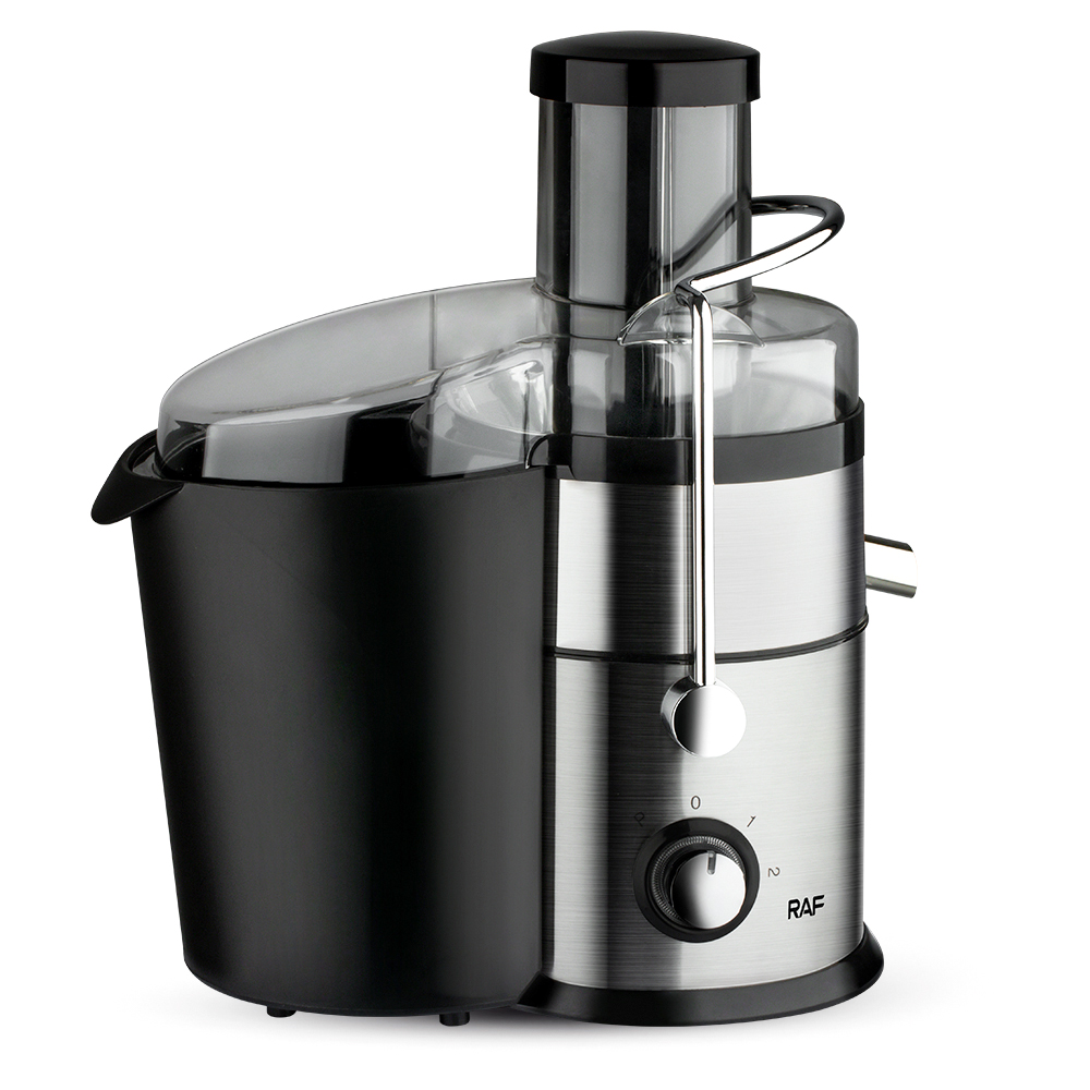 RAF European regulation cross-border 4-in-1 juicer Portable juicer Ground meat stirring juice machine grinder Item Picture