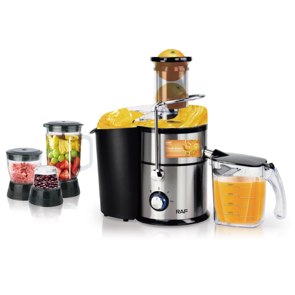 RAF European regulation cross-border 4-in-1 juicer Portable juicer Ground meat stirring juice machine grinder Specification drawing