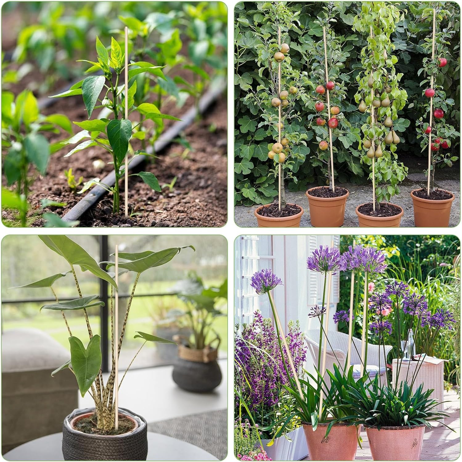 Toss it ZTB0002 stock 100PCS with 30CM length 6MM diameter round head bamboo stick Item Picture