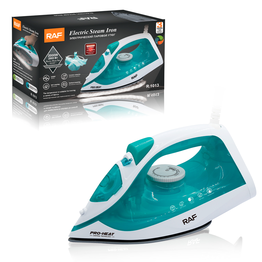 RAF European standard cross-border best-selling household handheld steam iron, small portable electric iron, spray sports pic 6
