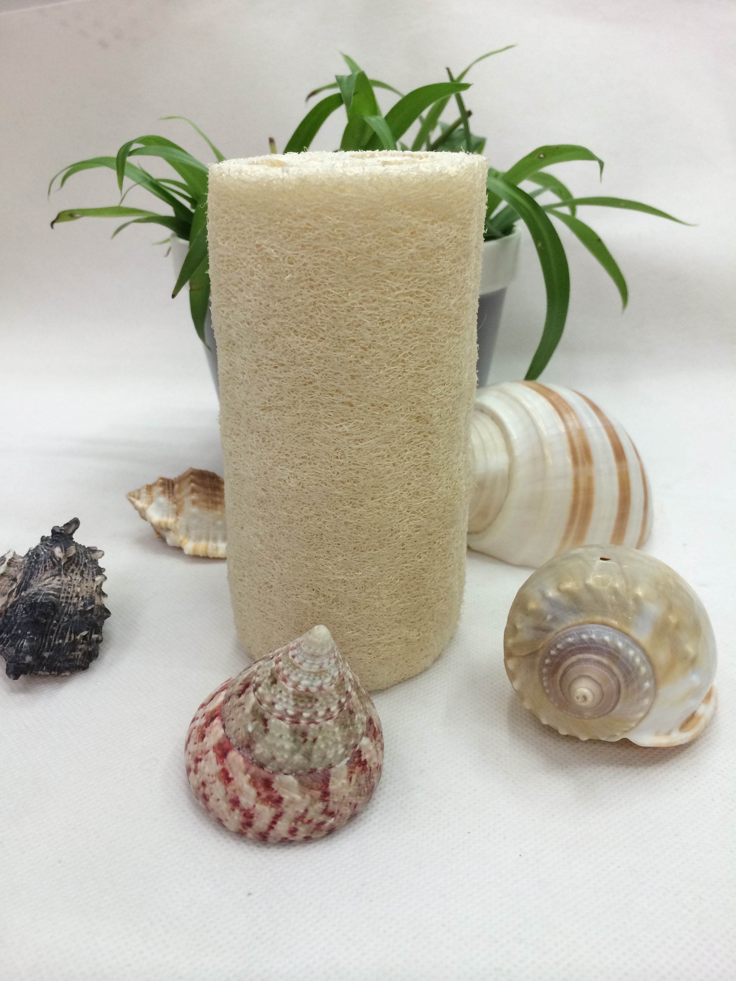 丝瓜 博澳 安贝特搓澡巾沐浴用品手套 婴儿用品拉背条