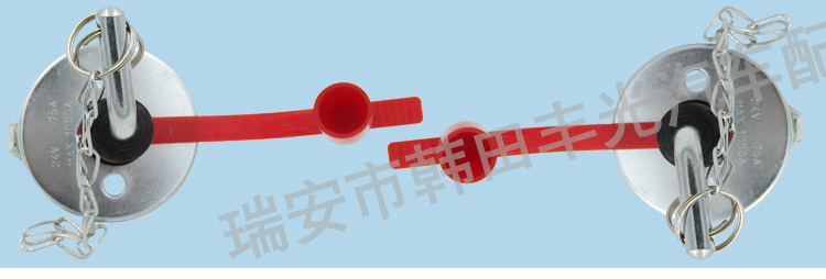 厂家直销适用于斯柯达电池隔离开关福特防漏电瓶断开电源切断按钮193915060详情4