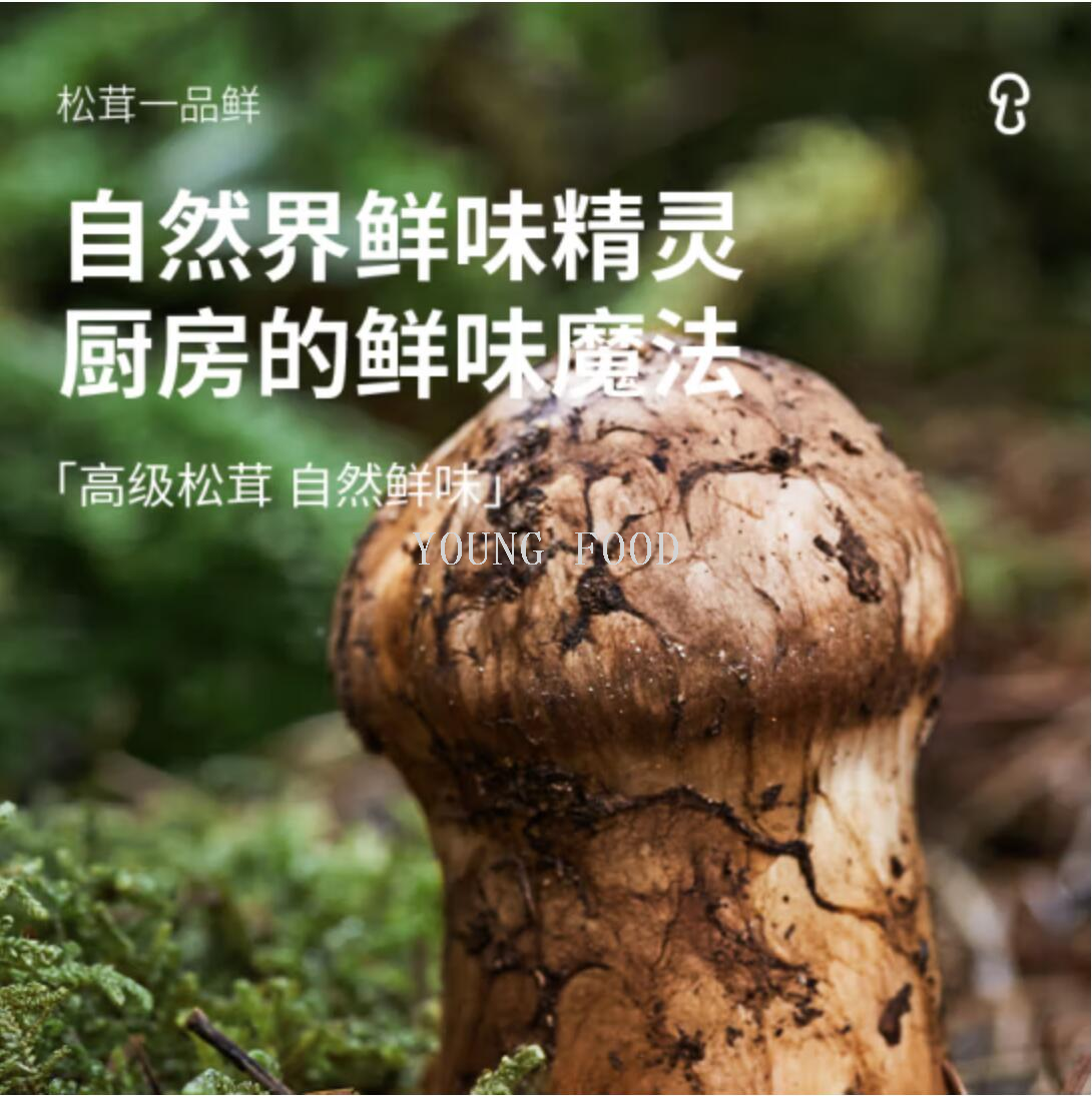 包邮！松鲜鲜松茸一品鲜调味汁580g夏奈尔调味品炒菜提鲜天然味增详情5